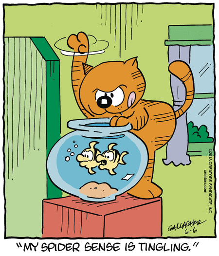 heathcliff